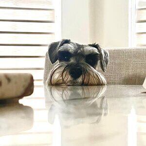 Meet your Posher, Cynthia C>